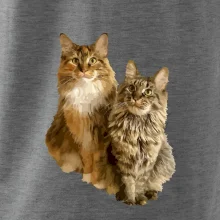 Mačky vectorizované (Moňas)