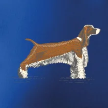 Vintage Springer spaniel