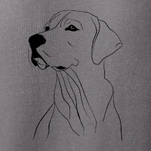 Labrador čierna kresba