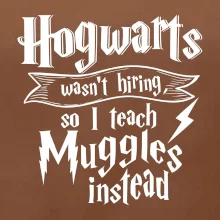 Harry - Hogwarts wasn’t hiring, so I teach Muggles instead