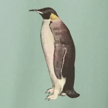 Tučniak kreslený vodovými farbami