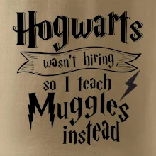 Harry - Hogwarts wasn’t hiring, so I teach Muggles instead