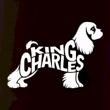Kavalier king Charles španiel nápis v tele