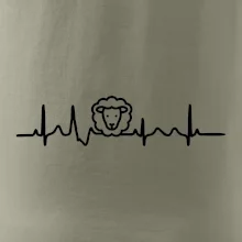 Ekg ovce