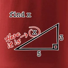 Find X - geometria