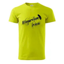 Harry - Wingardium Leviosa