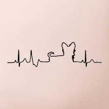 Yorkshirský teriér EKG Yorkshirský teriér EKG