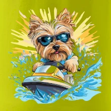 Yorkšírsky teriér na vodnom skútri