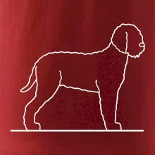 Lagotto romagnolo stojaci