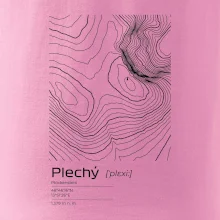 Plechý - vrstevnice v obdĺžniku