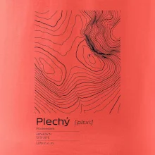 Plechý - vrstevnice v obdĺžniku