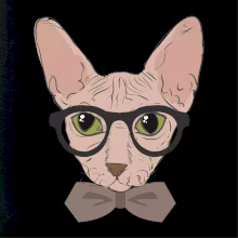 Hipster sphynx Hipster sphynx