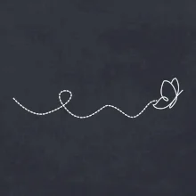 Dráha letu motýľa - vlnovka