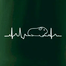 EKG morča EKG morča