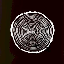 Letokruhy 30 bez veku