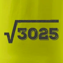 Narodeniny odmocniny 55