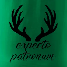 Harry - Expecto patronum