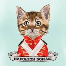 Napoleon domáci mačka Napoleon domáci mačka