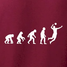 Evolúcia volejbal muž