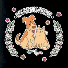 Mačka a pes best friends Mačka a pes best friends