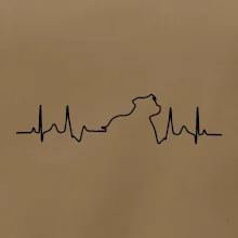 Stafordšírsky bulteriér ‎ EKG