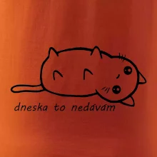 Dnes to nedávam