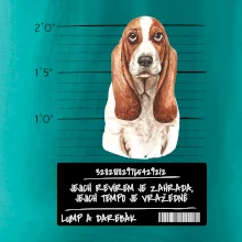 Baset - lump a darebák  