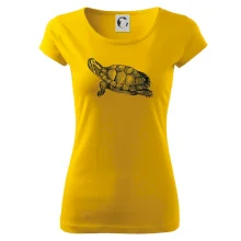 Ceruzkou kreslená korytnačka