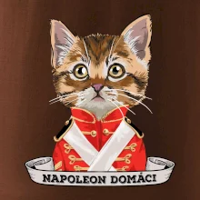 Napoleon domáci mačka