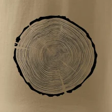 Letokruhy 85 bez veku