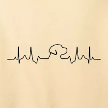 Labradorský retriever EKG Labradorský retriever EKG