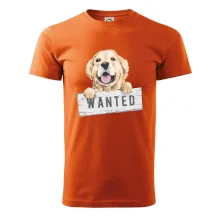 Zlatý retriever - šteniatko wanted