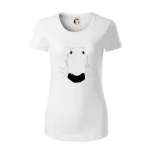 Barzoj čumák (Moňas)