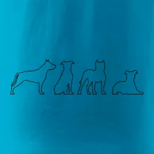 Americký stafordšírsky teriér v rôznych pozíciách