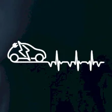 Ekg elektromobil Ekg elektromobil