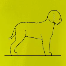 Lagotto romagnolo stojaci