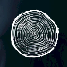 Letokruhy 25 bez veku