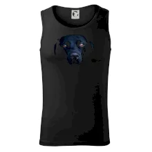 Čierny Labrador fotka