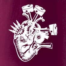 Vodičovo srdce Vodičovo srdce