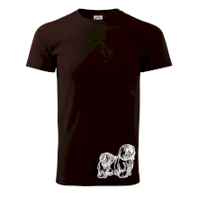 Shih-tzu - chlpatý Shih-tzu - chlpatý