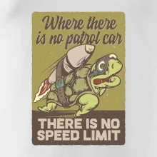 Korytnačka na cestách