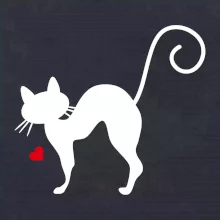 Zamilovaná mačka prehnutá