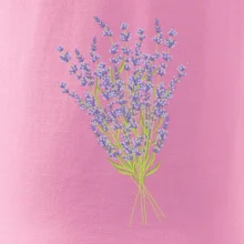 Levanduľa kreslená Levanduľa kreslená