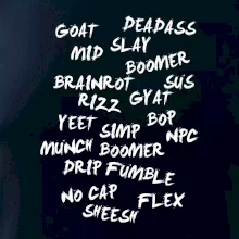 Generácia Z - Gén Z slovník