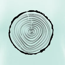 Letokruhy 20 bez veku