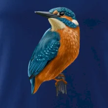 Ľadnáčik kreslený