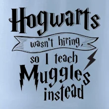 Harry - Hogwarts wasn’t hiring, so I teach Muggles instead