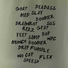 Generácia Z - Gén Z slovník