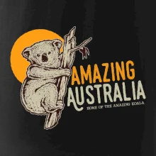 Amazing Australia koala