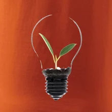 Žiarovka kvetináč